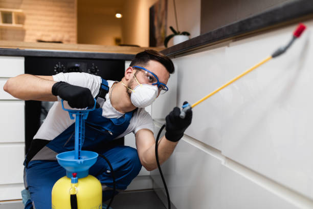 Best Ant Control Services  in Montgomery, GA
