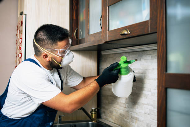 Best Pest Removal Services  in Montgomery, GA