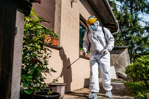 Best Pest Prevention Services  in Montgomery, GA