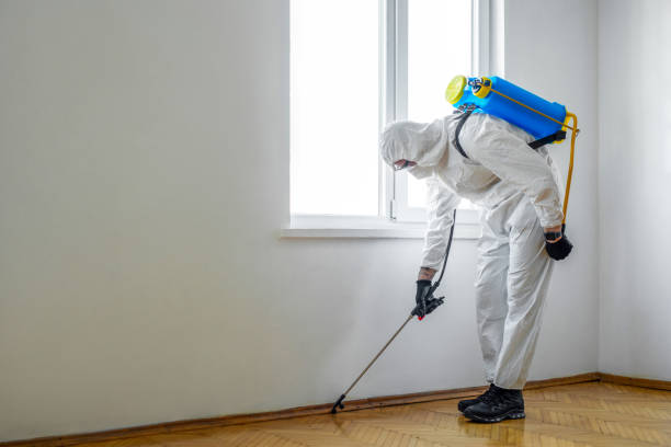 Best Mosquito Control Services  in Montgomery, GA