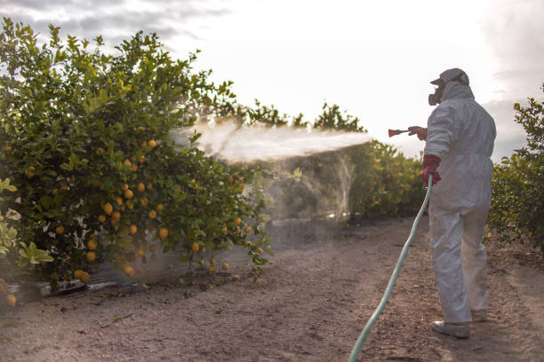 Best Wildlife Control Services  in Montgomery, GA