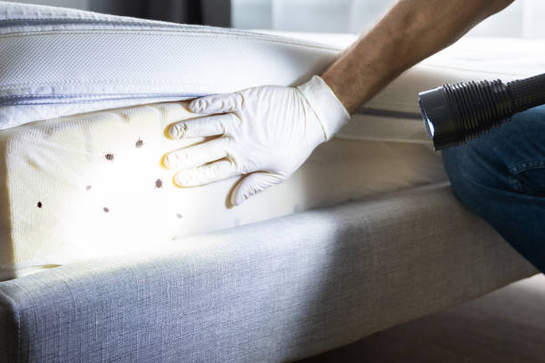 Best Residential Pest Control  in Montgomery, GA